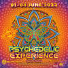 Psychedelic Experience Festival 2023 IMG