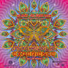 Psychedelic Experience Festival 2024 IMG