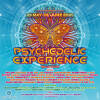 Psychedelic Experience Festival 2025 IMG